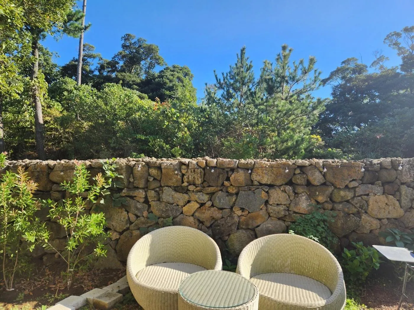 Poraeporae Fully Furnished Villa With A View Of Green Trees For Relaxation Jeju